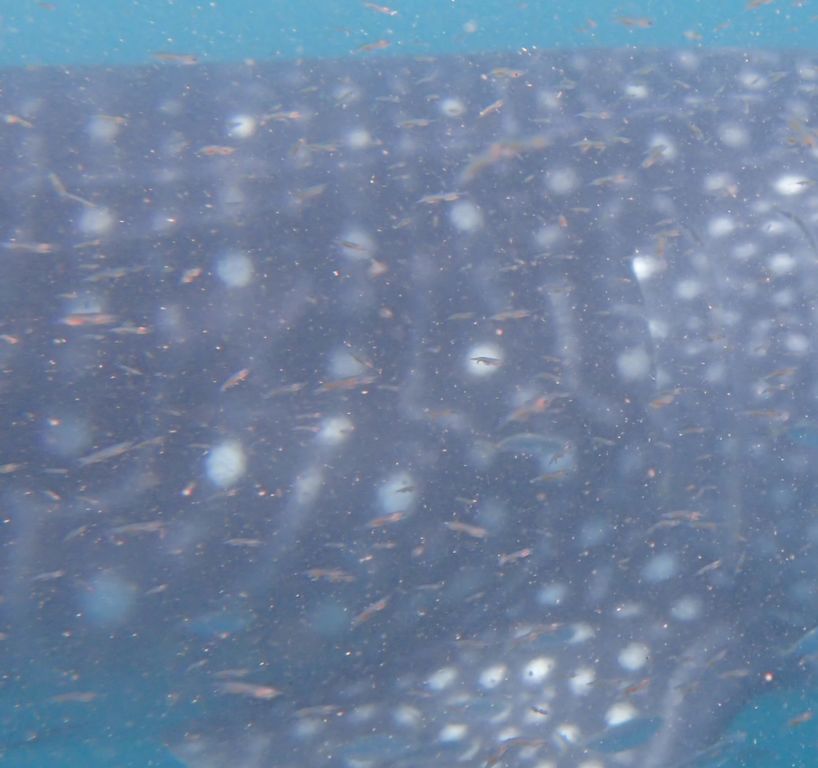 8be6e3a1-609a-42ec-adfa-f0e5dcdc8d05