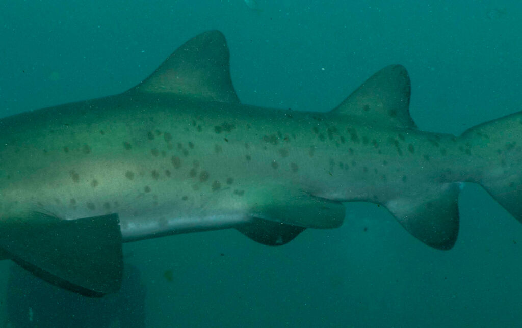 8cbfa3e7-9fa3-4399-8835-3cb3daa20afa