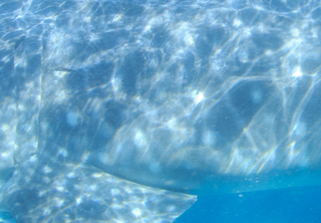 3e340e56-5596-4fba-a0d3-322692fcdc54