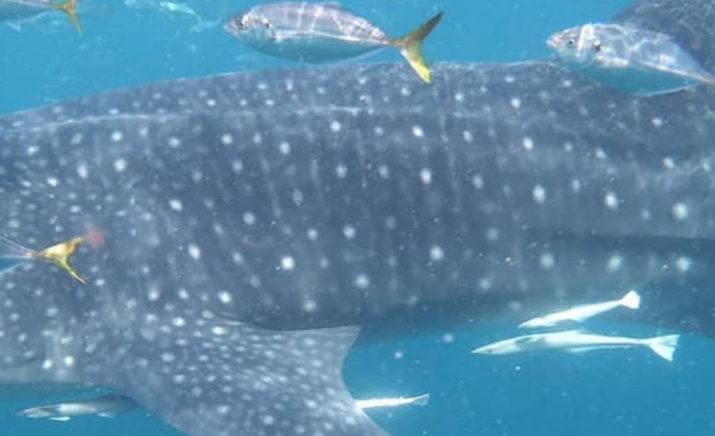 84b25471-6ffc-40bf-83de-ca1c8b9831bf