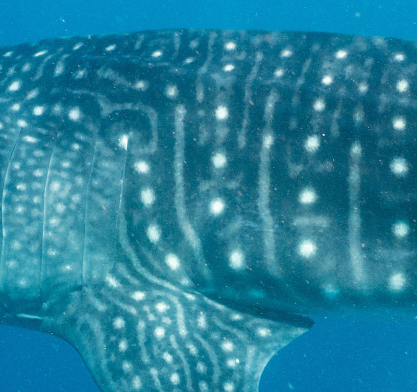 13f4e9f4-4763-4869-8ec7-fc10c8e691f2