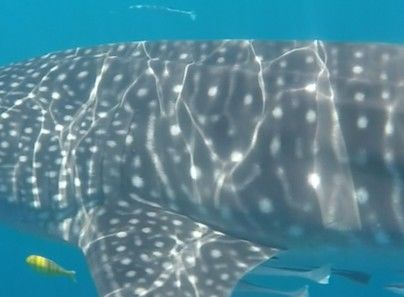 5edd6097-9213-48ce-96d6-2a4b1303075f