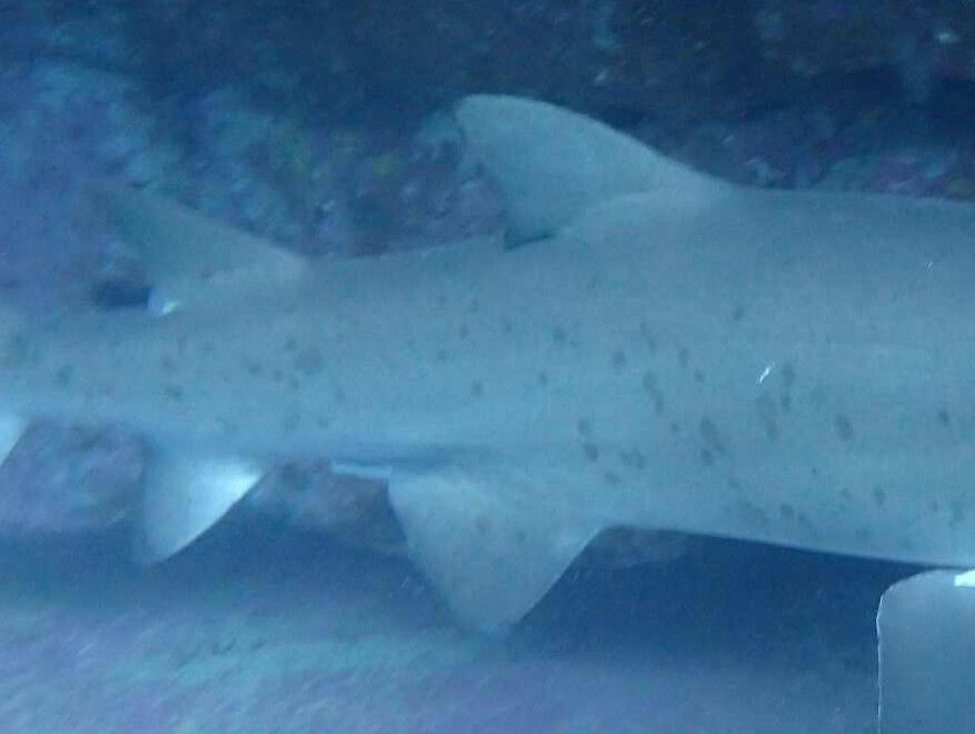 5199233c-9add-47e3-872d-fcdee874195c