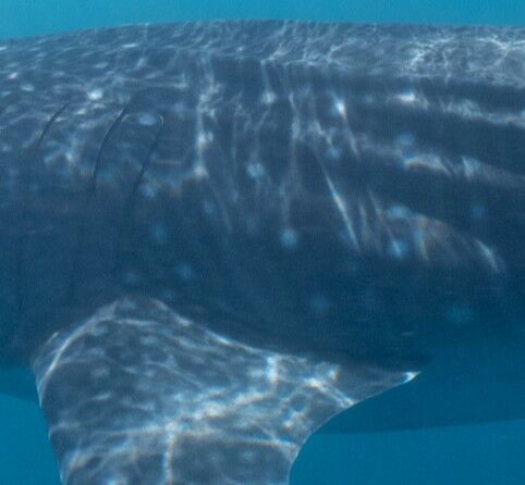 53799ce4-0710-4170-9373-29b72d3834ab