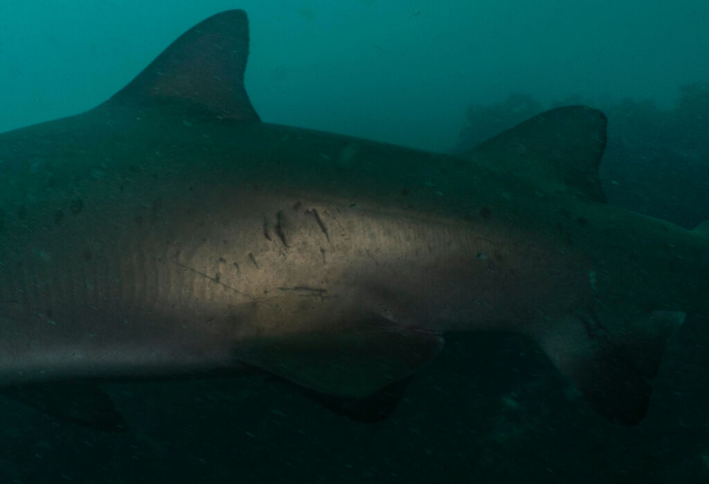 1a47b649-5919-482f-9ca0-8e09ba2ff877