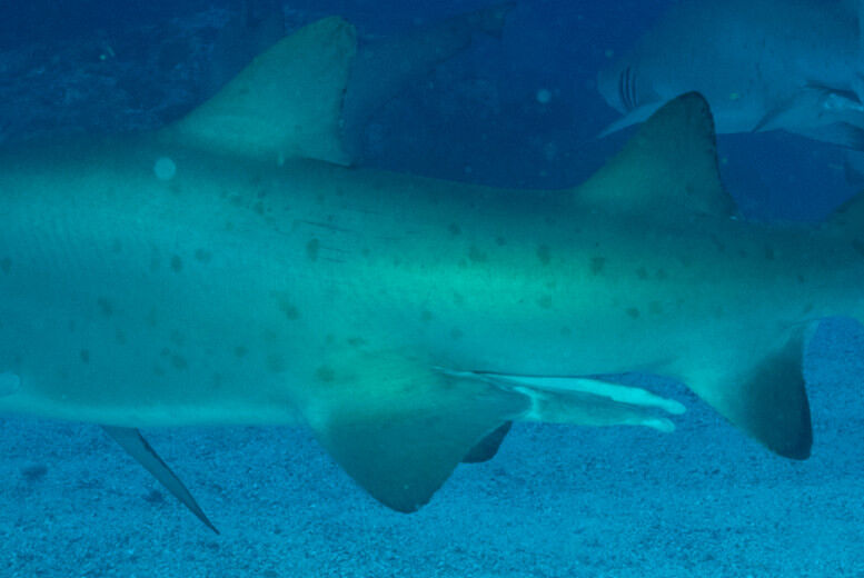 b960af7f-37a6-4e0b-b2b7-233ffaf3c5cd