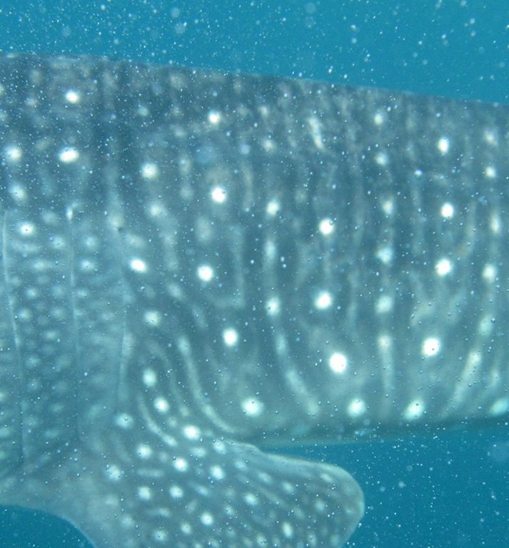 caca1877-3d6a-492c-9119-eae4796bb980