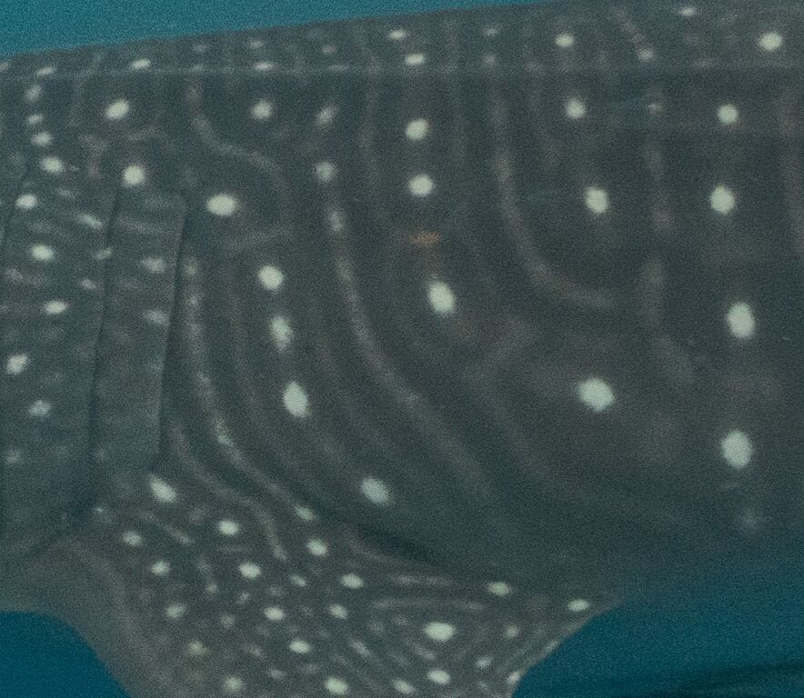 2618e0be-8a52-4f41-9ac8-c9eb71b1aee1