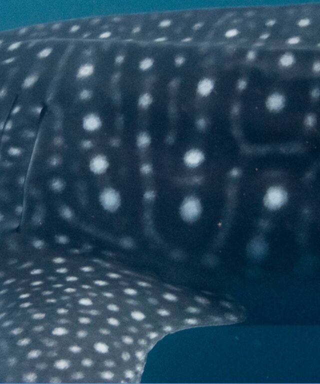 1146f6c2-3193-44fd-9ee1-a01ae83d76e1