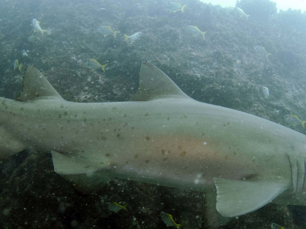 3cbbd5b2-35a5-46df-9417-b2cbf728bf68