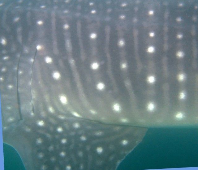 3bf44c3e-6f2c-4dde-93ac-9b43abbf970d