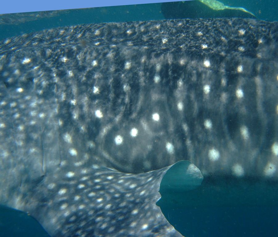 495c501b-389f-4c62-9f2b-023ee8e68a21