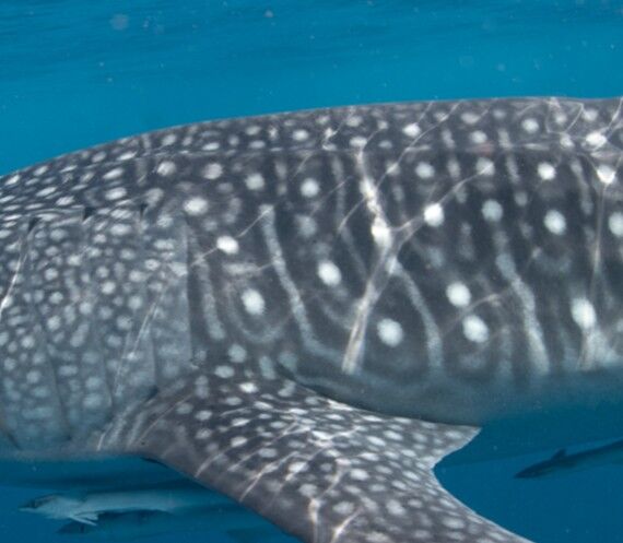 d77ffb18-421f-41ea-baaf-3d9d48308499