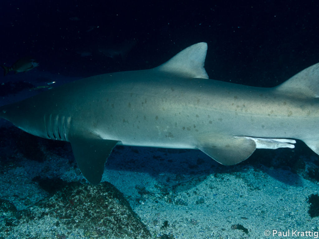 f97393cb-87e0-4bc8-88f6-e50524df9b99