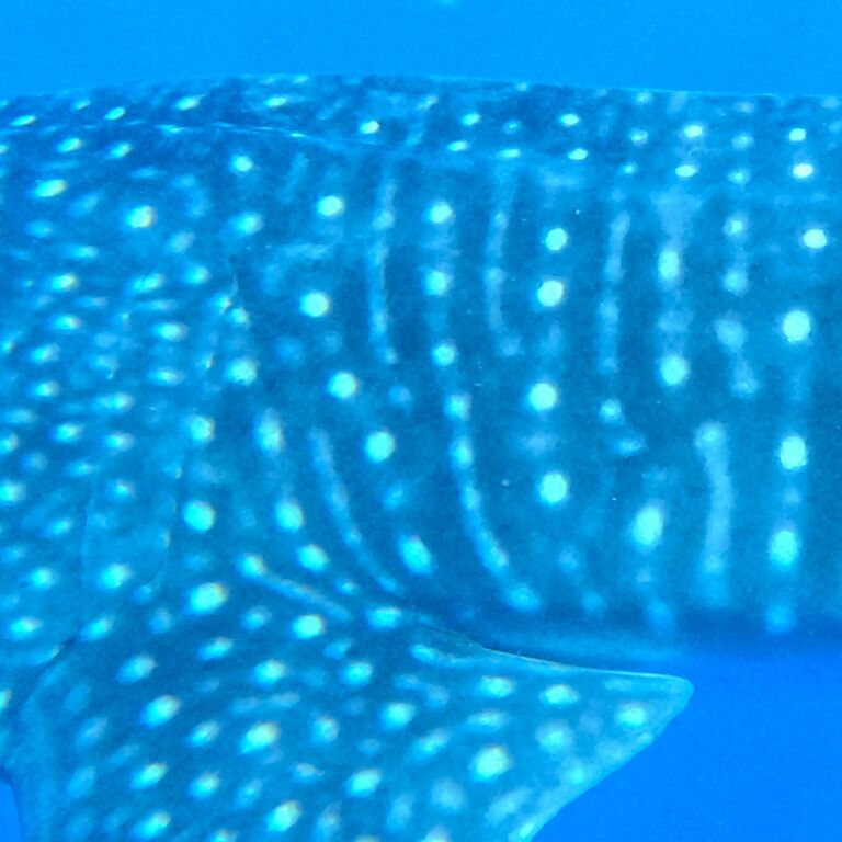 3c3de95f-12f3-4a52-9f17-311fc4404e9c