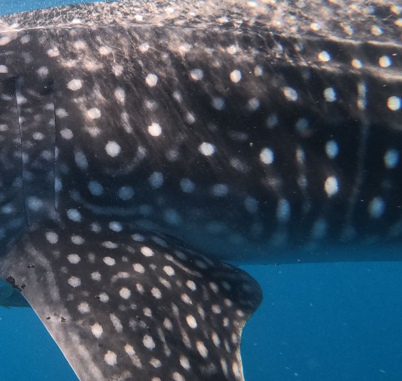 05008841-665d-4d7c-8994-0a9bd5519d17