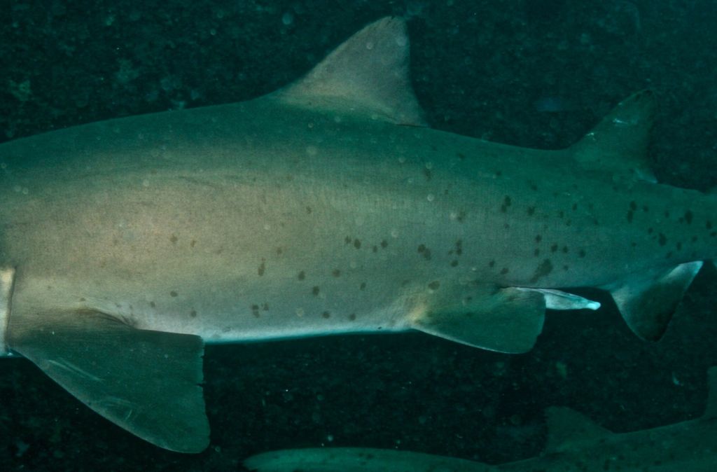 d8273d3d-cb55-4d86-a965-deb55f5b0ee1