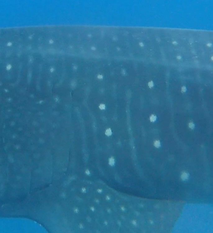 e5bfc7cc-fd17-4d95-800a-886dcff63d61