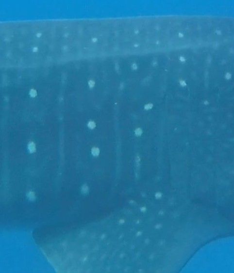 e5bfc7cc-fd17-4d95-800a-886dcff63d61