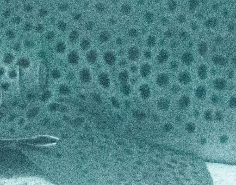 4b8975e6-bb43-4c0b-93ea-5ffc80134e2a