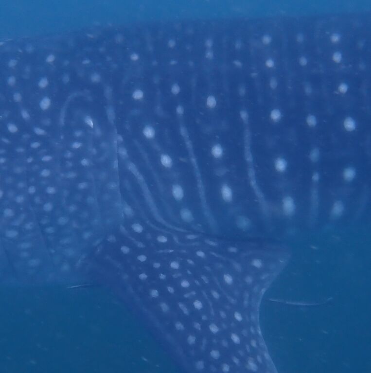 fdc901be-e439-4106-a4fd-4bb0fa263fa6