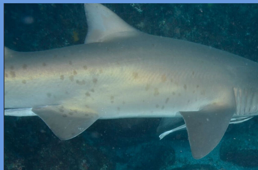 f859cab5-bc53-456a-8758-06ca4db0d885