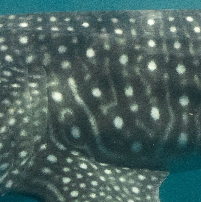 8be6e3a1-609a-42ec-adfa-f0e5dcdc8d05