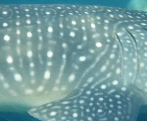 b2ddcebe-79ac-4cc0-bc53-1e7a94093db8