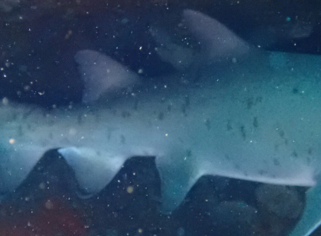 dd192edb-6e38-4525-a465-891a32fb4a3f