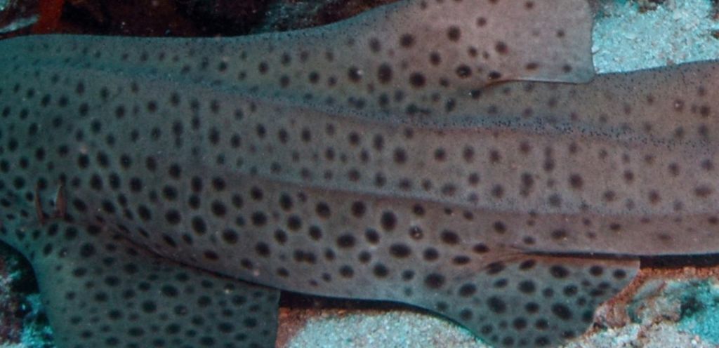 d512d1a0-2c3a-4e5c-a516-8b7c816d1e86