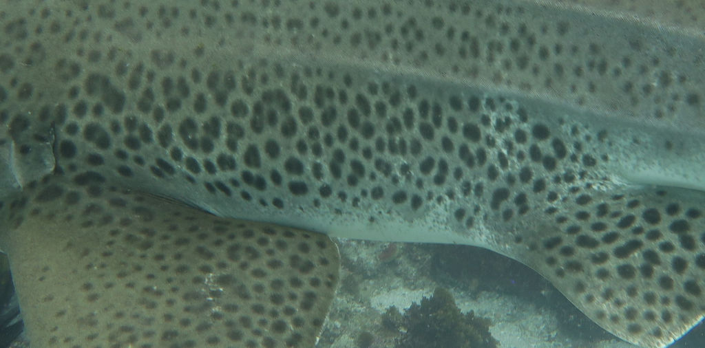 777a7713-60c1-4fc4-ba9d-95924db5a729