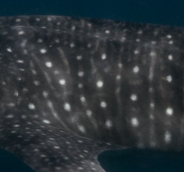 3b8e8505-3f92-40ad-ab43-e1adcd0a2d53