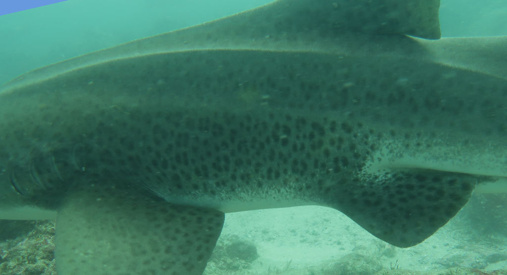 2f7e408a-4b0b-46c7-ba5d-c7589e67858b