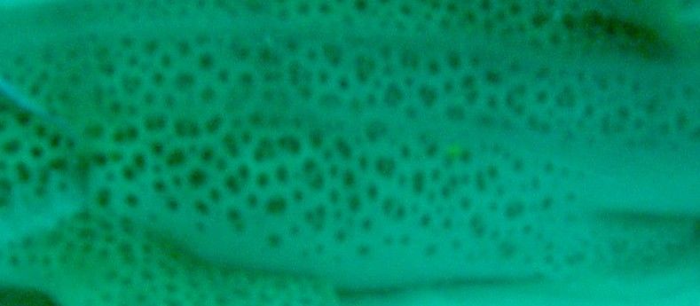 4e6dff77-7956-4676-a6d0-2d08322d8d9b