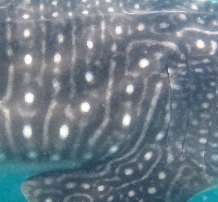 ebe18e84-2146-4ed8-8d22-e63bf77a13d0