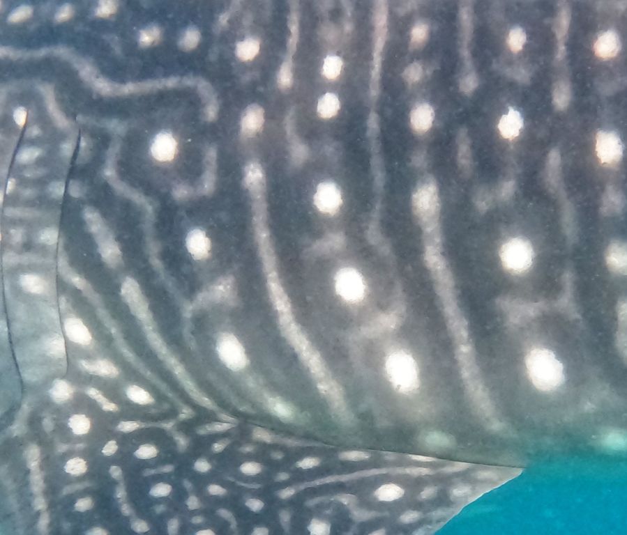 ebe18e84-2146-4ed8-8d22-e63bf77a13d0