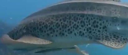 fb3992bd-e9cb-4b7d-bec9-0b774f0e632f