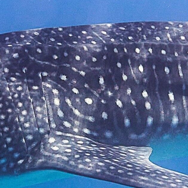 403330f1-8eaf-49b5-91fb-2b03d054066e