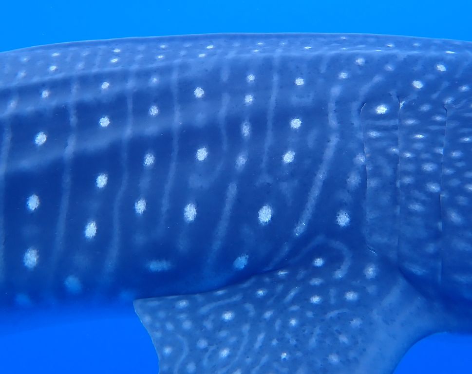 8d2f142e-e56e-4c41-b021-c88cfadbc26a