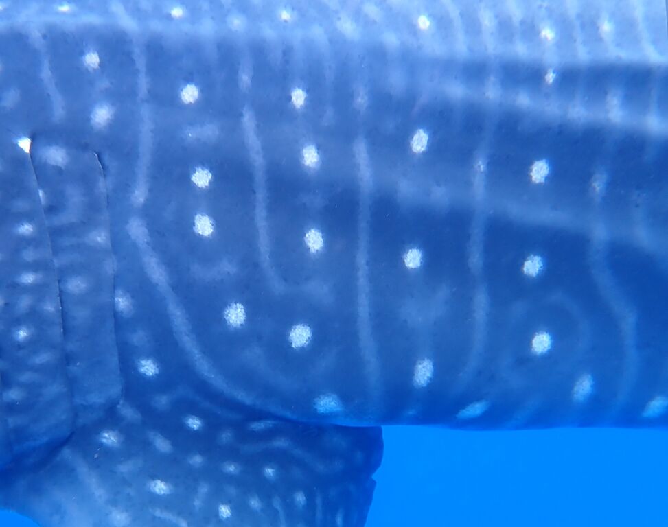 8d2f142e-e56e-4c41-b021-c88cfadbc26a