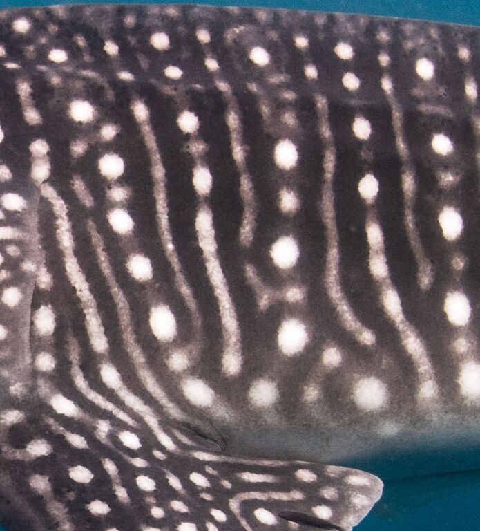 252ee35d-ff72-414f-b560-b1fe73ca0915