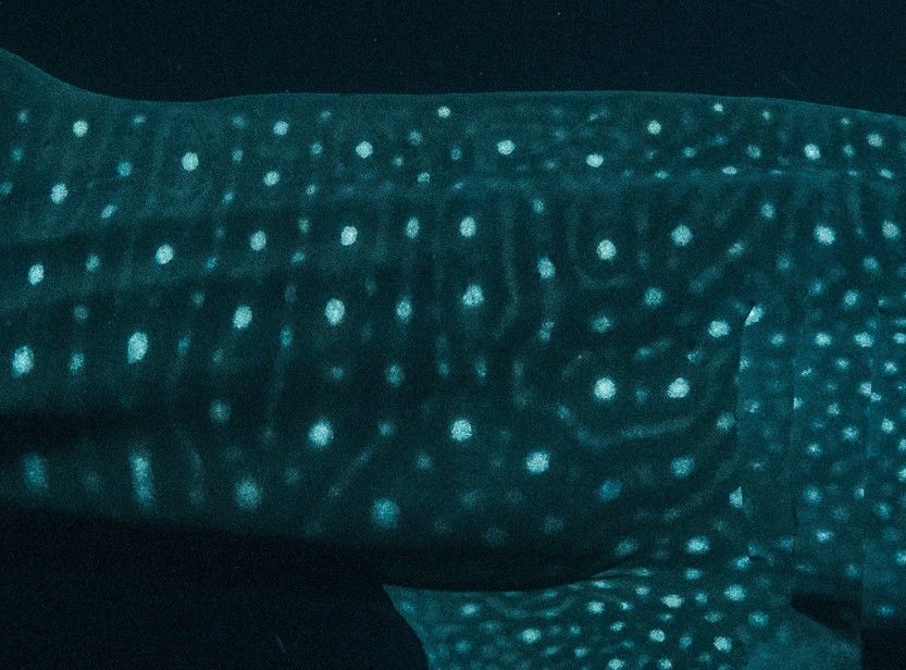 56566fa6-1dd1-4307-aee8-e1df55db5da0