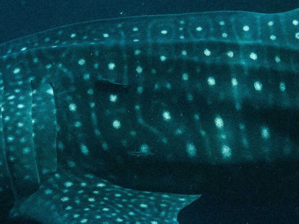 56566fa6-1dd1-4307-aee8-e1df55db5da0