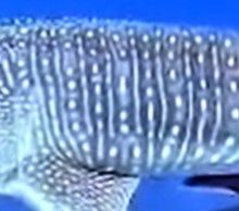 622a5d43-f1eb-4caa-93aa-c27714fdba74