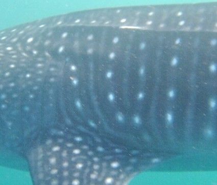 c35f0b08-7423-4d66-8ad0-bc73e8d9581f