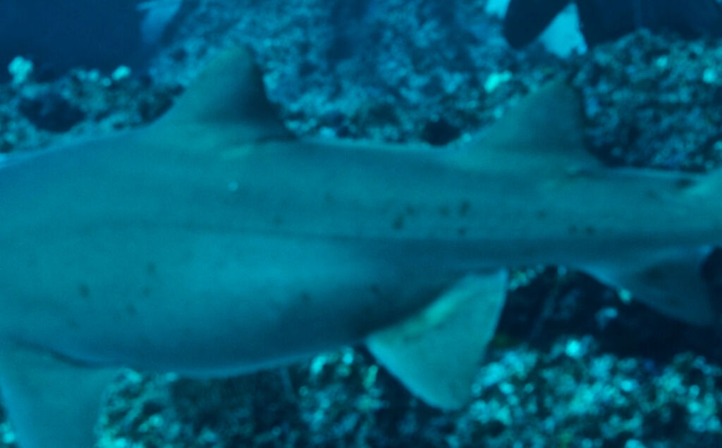 2efb73c9-6eba-436f-9600-63344f195585