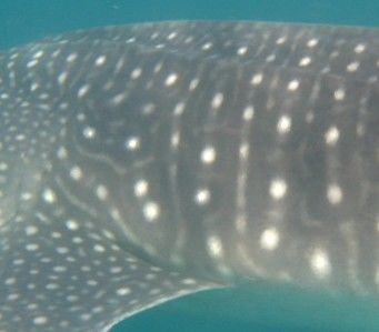 a59a5e33-a77b-4643-a739-9d0c4acadb25