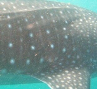 a59a5e33-a77b-4643-a739-9d0c4acadb25