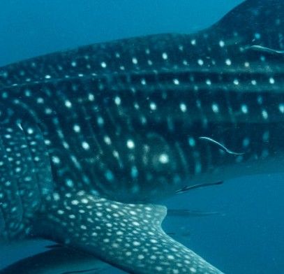 38856950-2699-4f4e-8700-11779d0d53b3