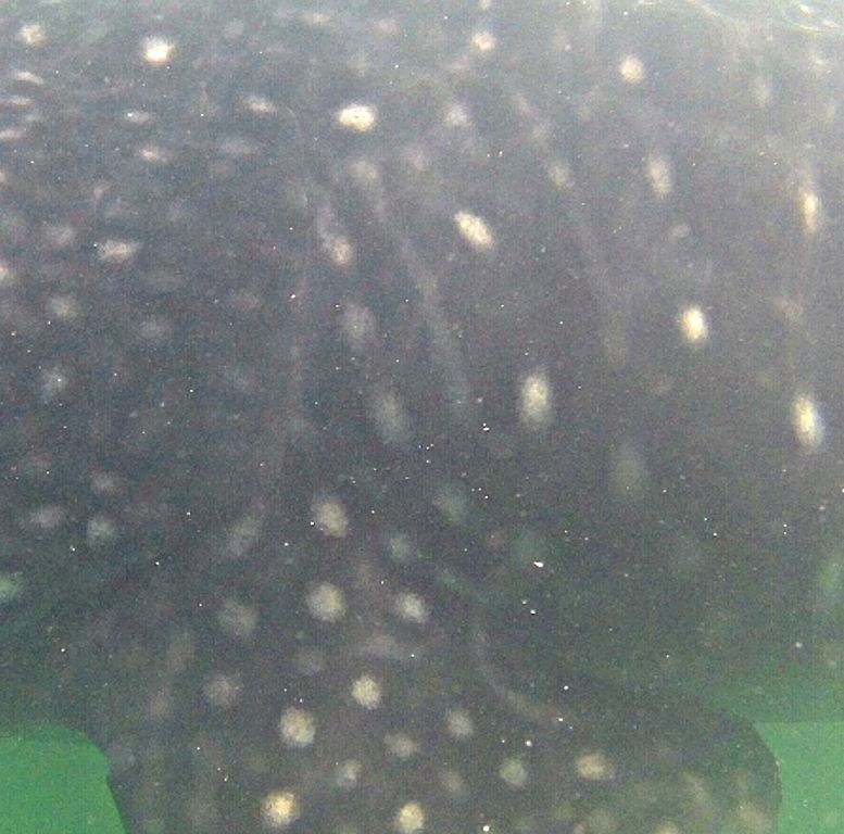 f3a71b25-1920-41b8-b8f9-d8cc83e544ff